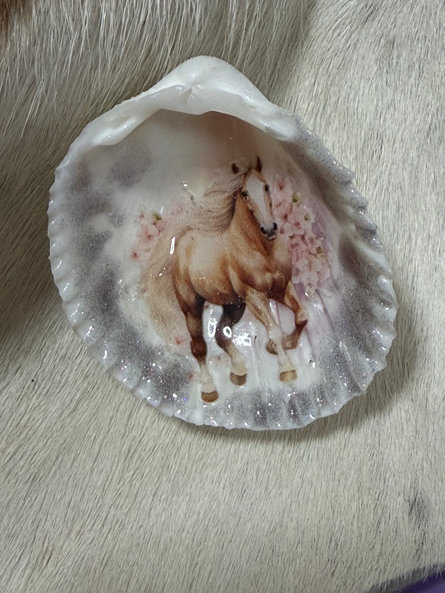 Resin Sea Shell Horse Theme Refrigerator Magnet