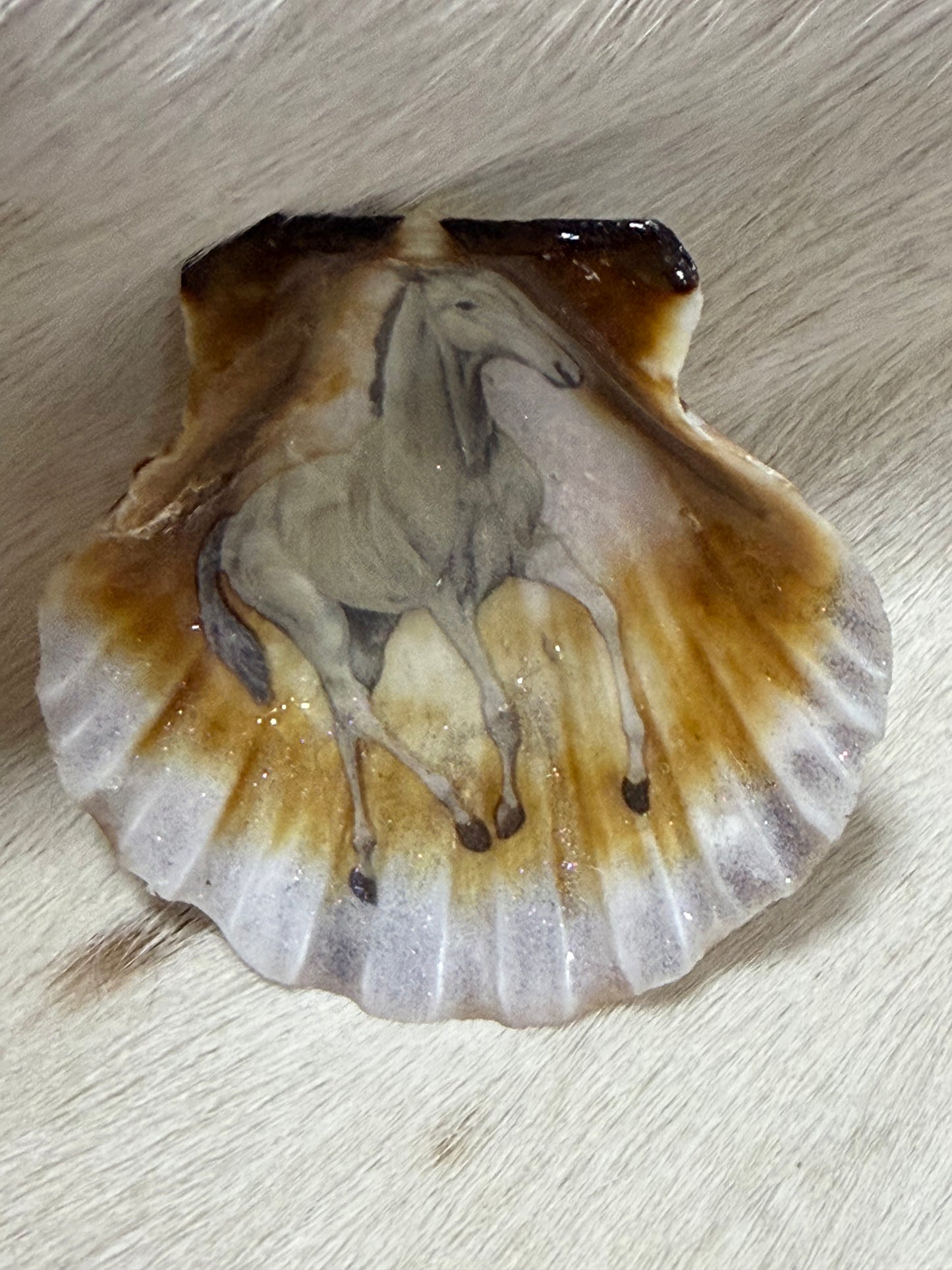 Resin Sea Shell Horse Theme Refrigerator Magnet
