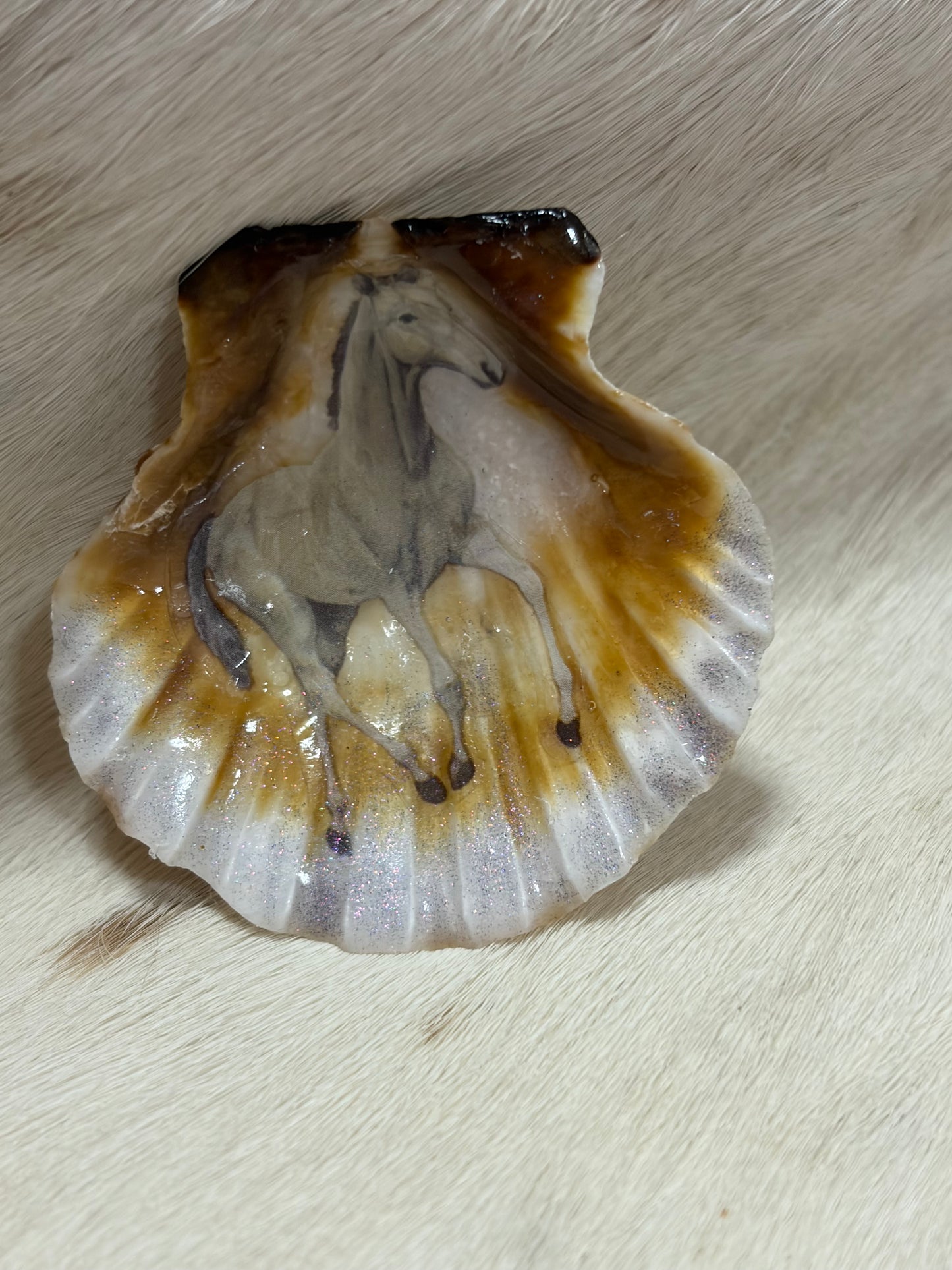 Resin Sea Shell Horse Theme Refrigerator Magnet