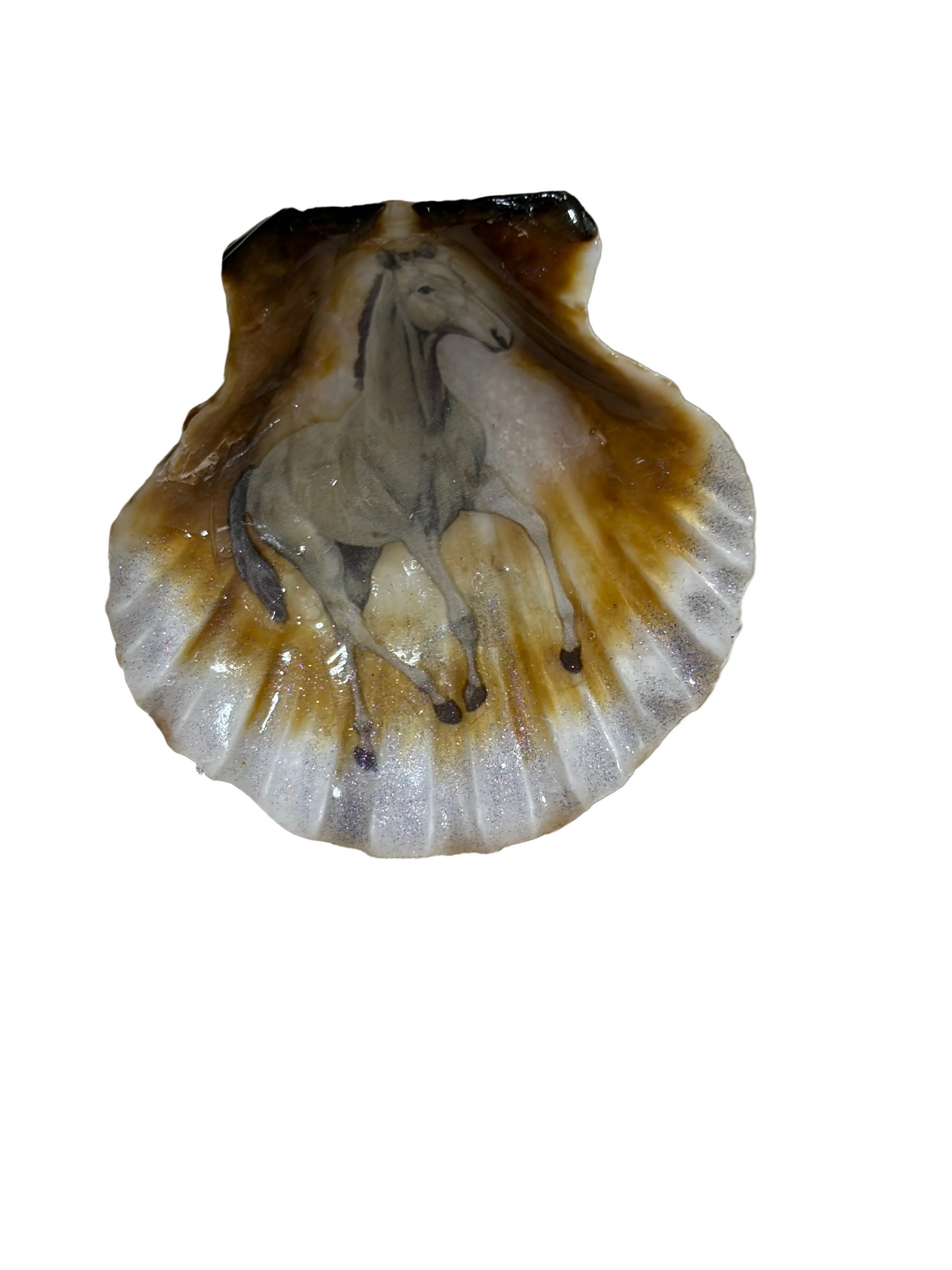 Resin Sea Shell Horse Theme Refrigerator Magnet