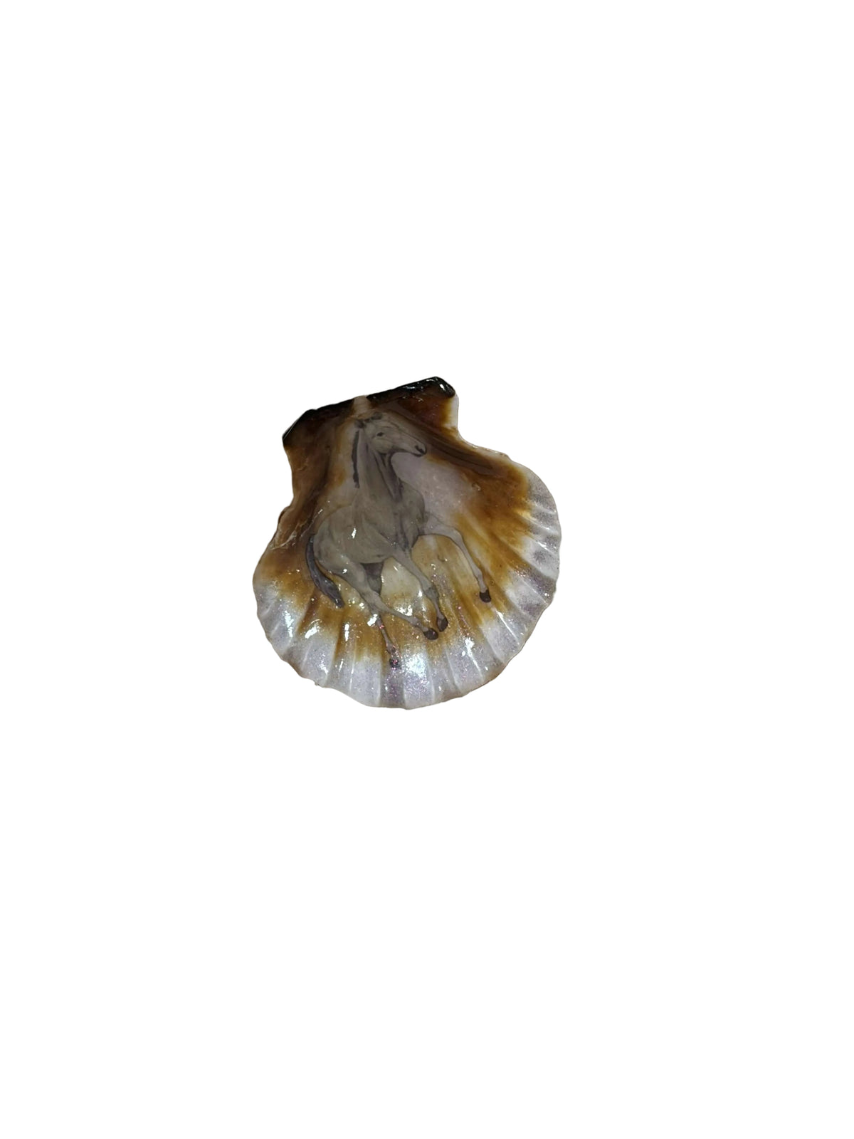 Resin Sea Shell Horse Theme Refrigerator Magnet