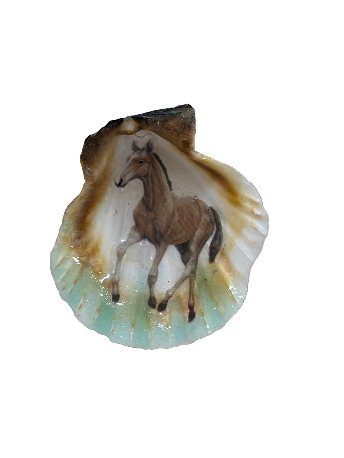 Sea Shell Horse Theme Resin Filled Refrigerator Magnet
