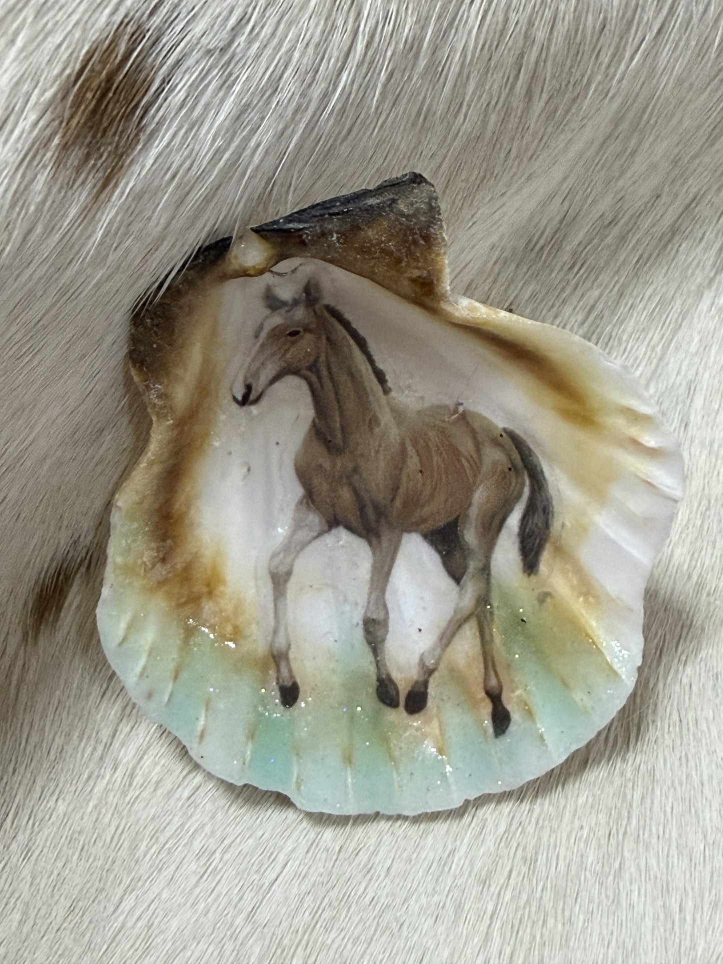 Sea Shell Horse Theme Resin Filled Refrigerator Magnet