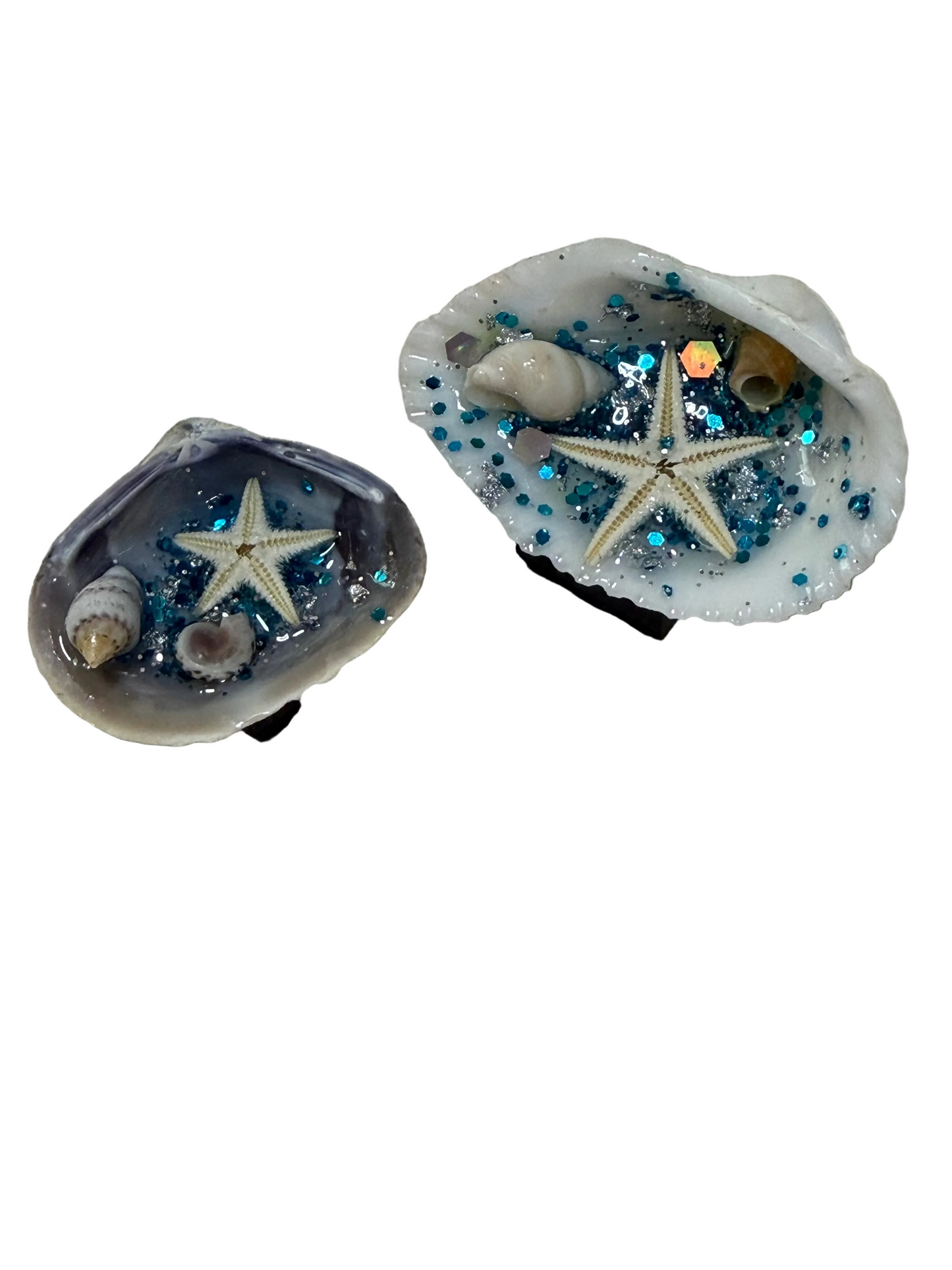 Two Small Sea Shells Resin Ocean Scene Refrigerator Magnets