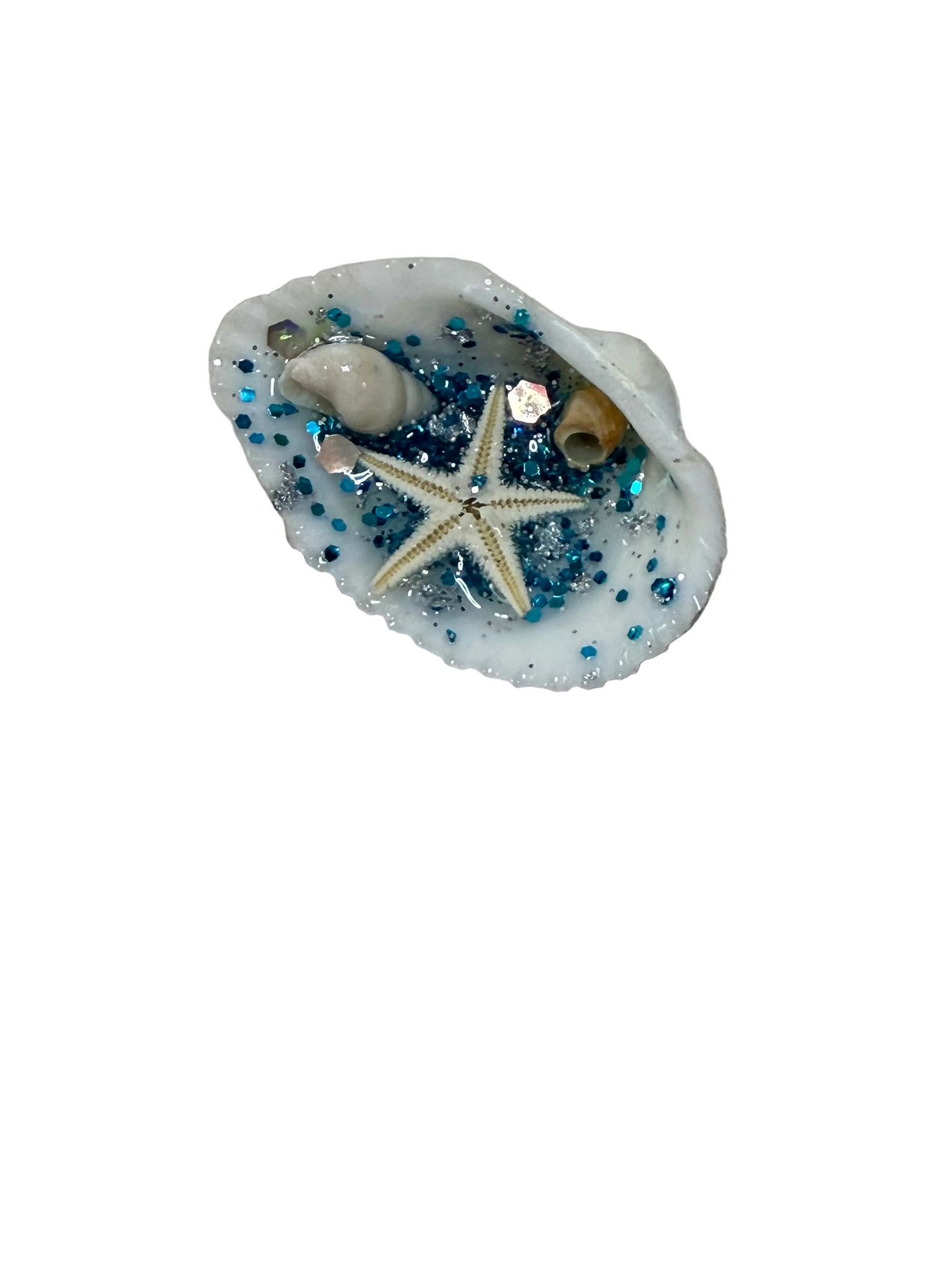 Two Small Sea Shells Resin Ocean Scene Refrigerator Magnets