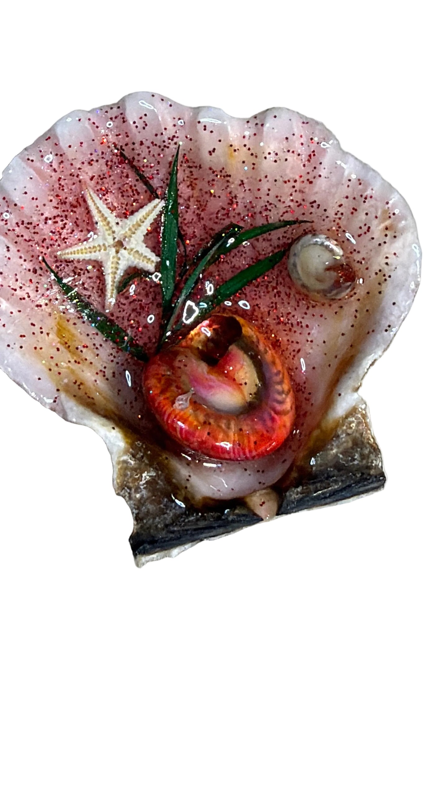 Resin Sea Shell Decoration Starfish Shells Refrigerator Magnet