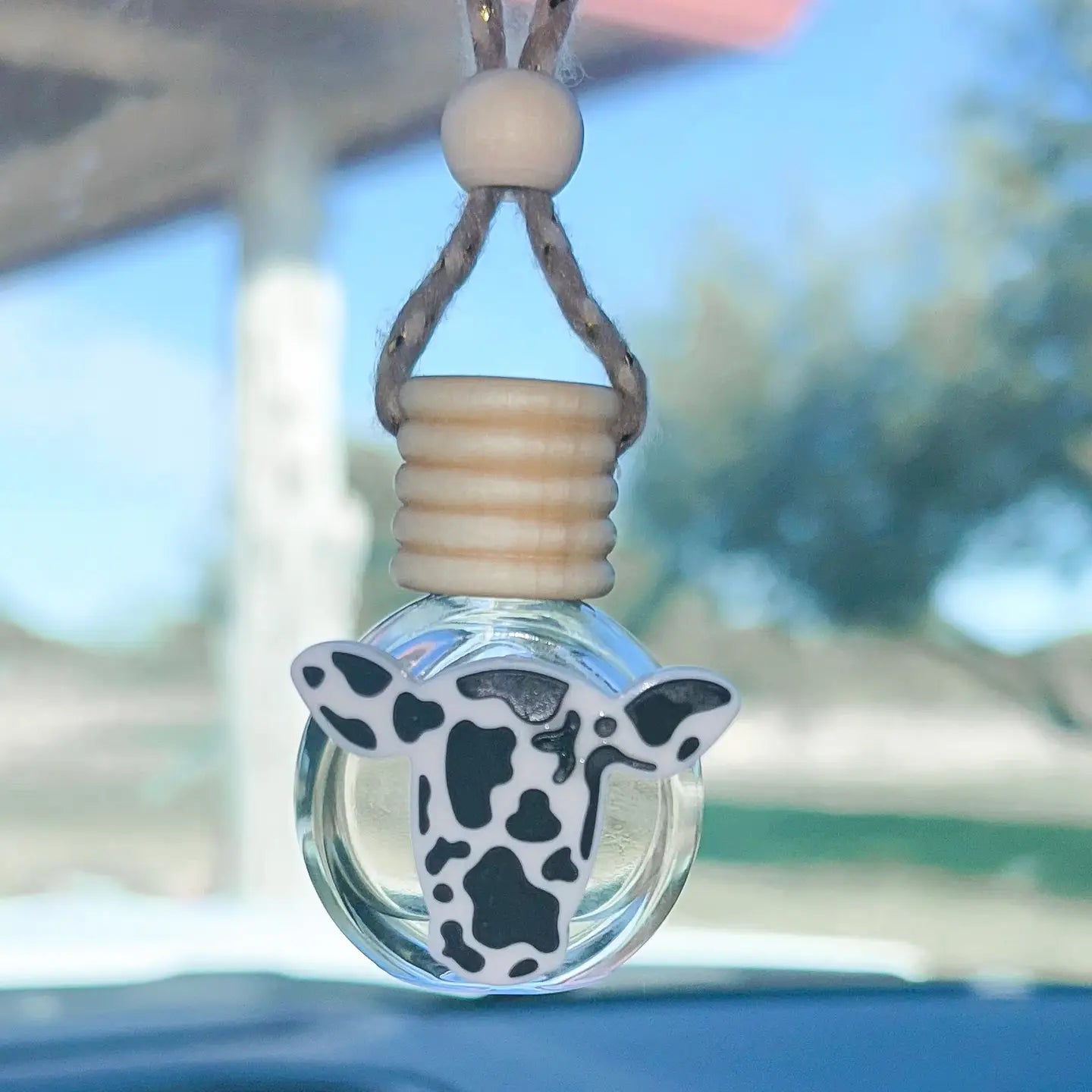 Western Car Scented Diffuser Assortment