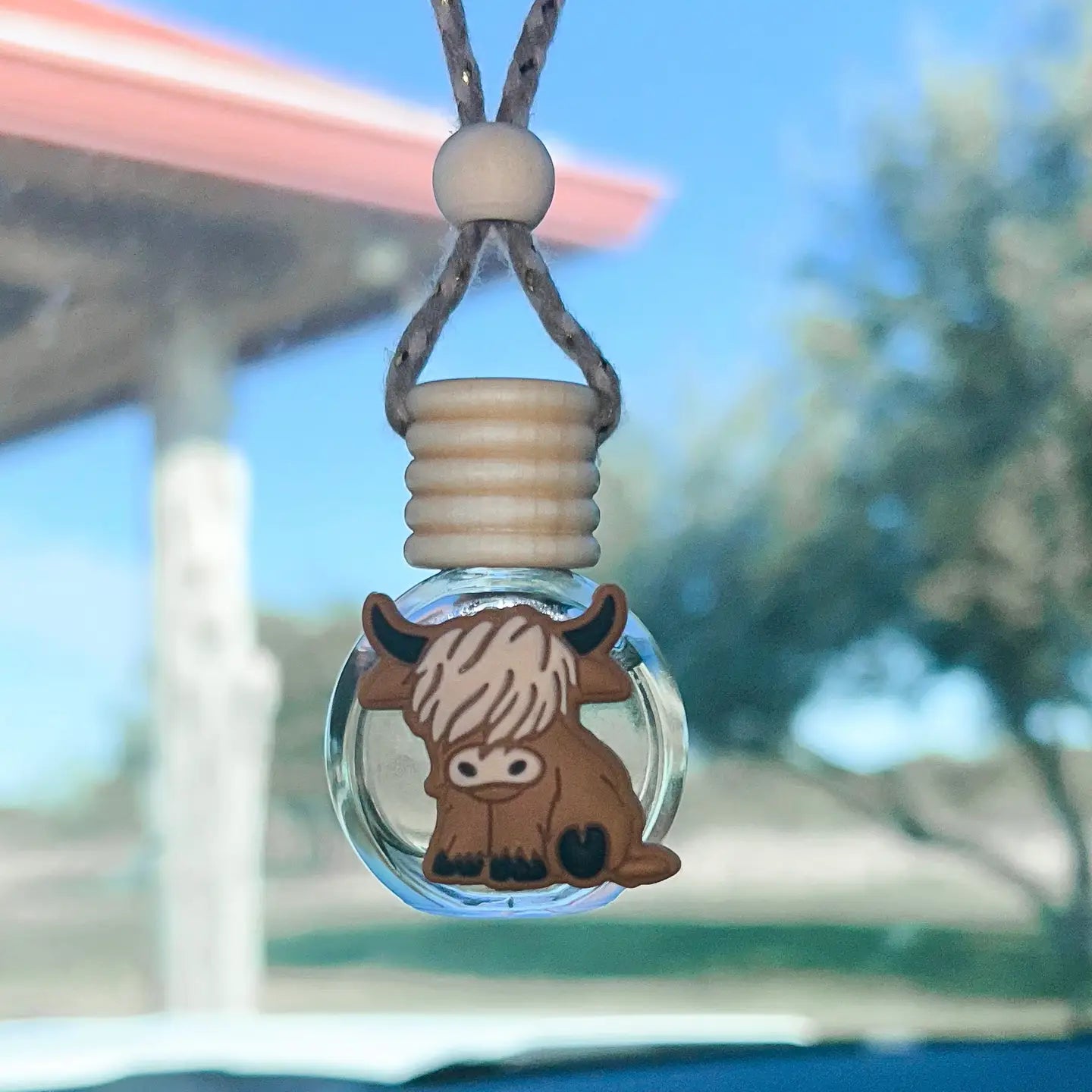 Western Car Scented Diffuser Assortment