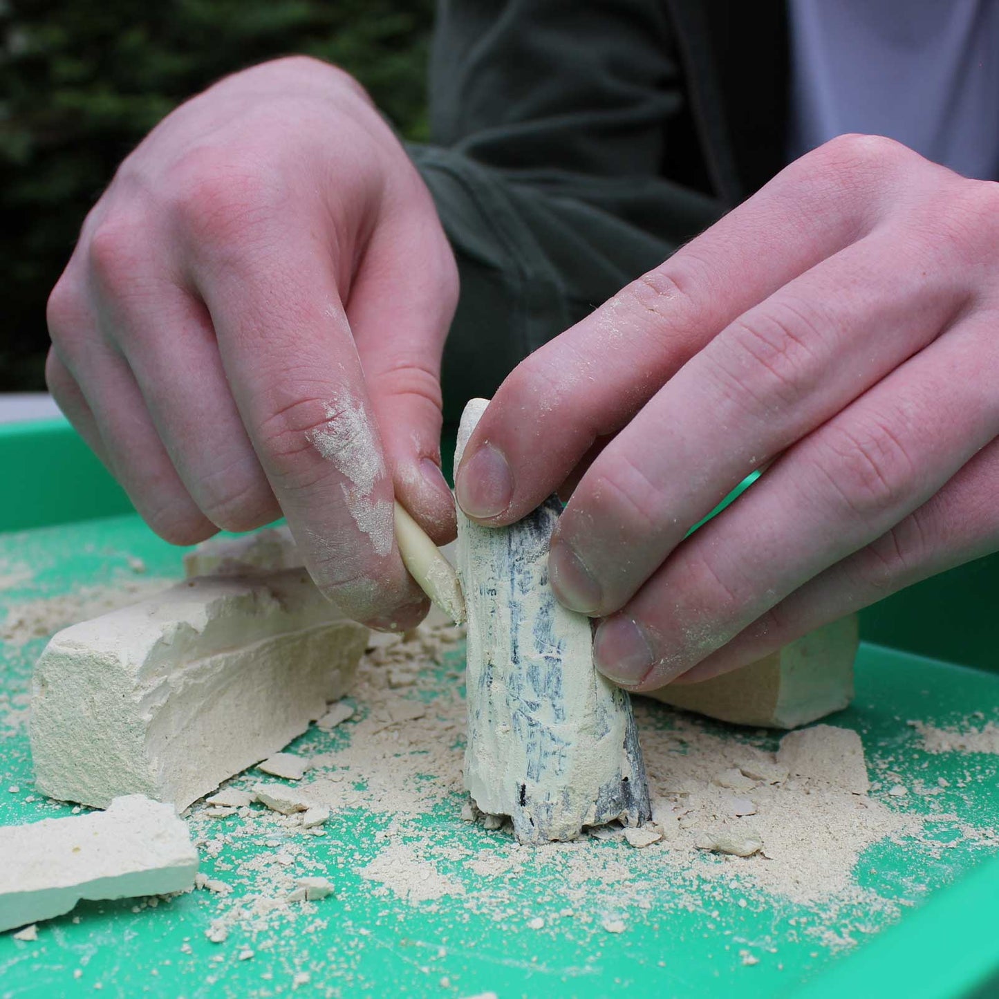 Dino Dexter Dino Tyrannosaurus Rex Tooth Dig Kit-2