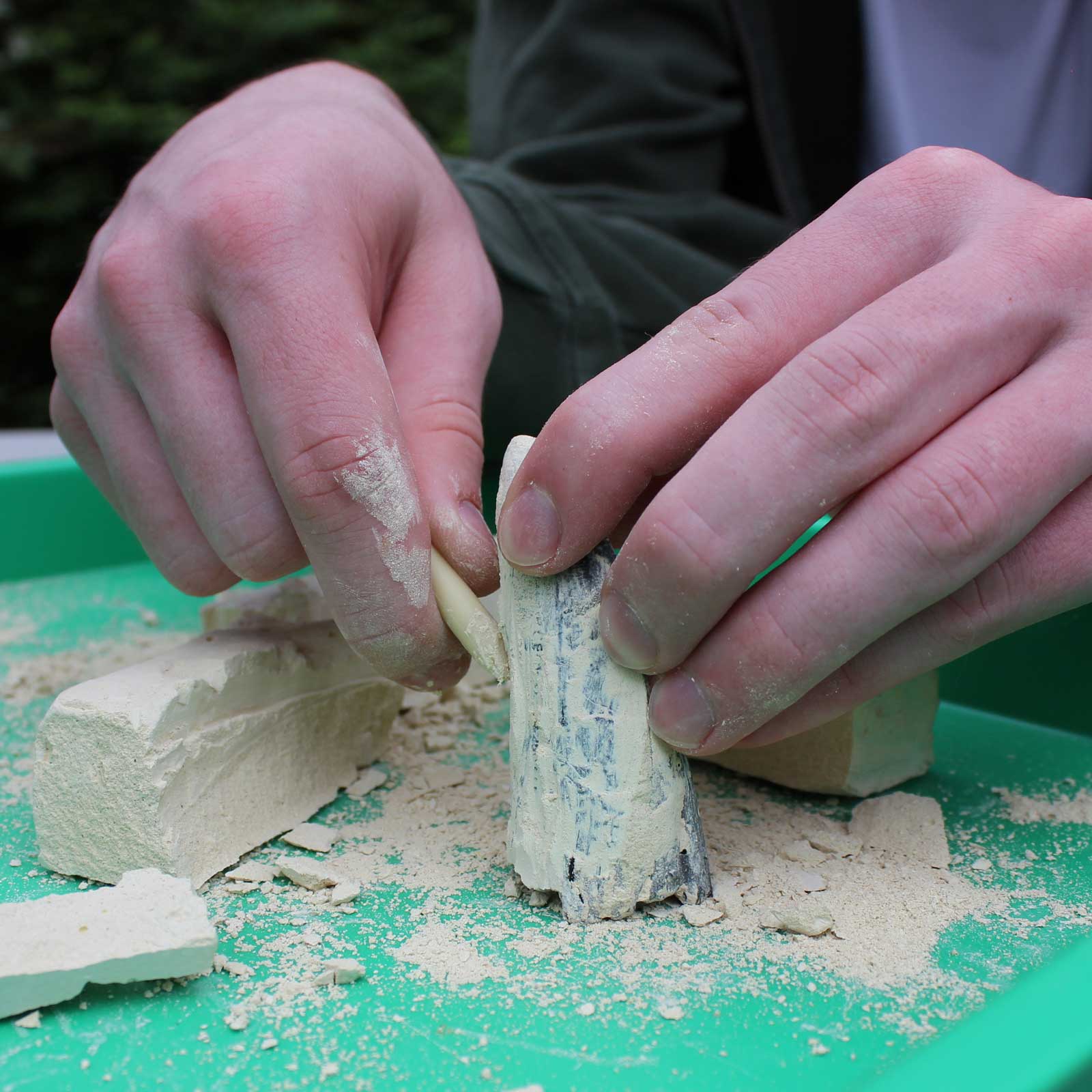 Dino Dexter Dino Tyrannosaurus Rex Tooth Dig Kit-2