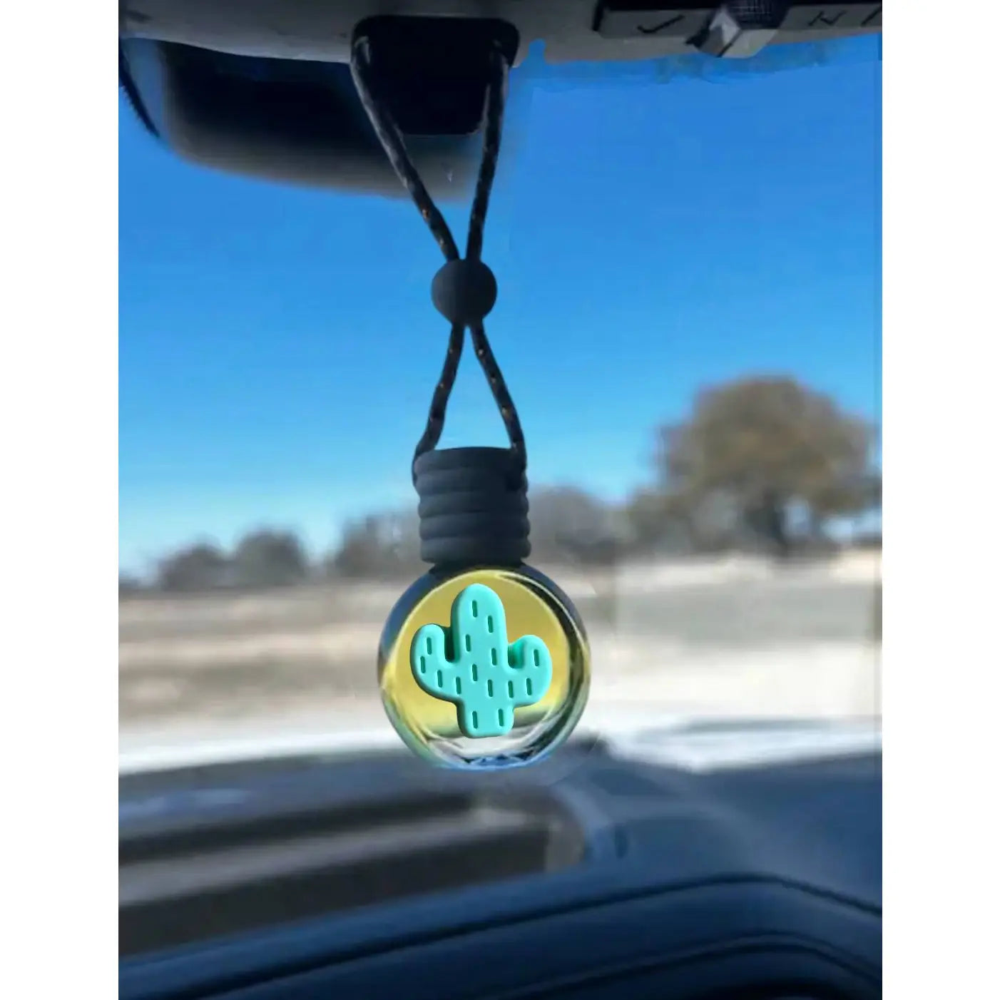 Western Car Scented Diffuser Assortment