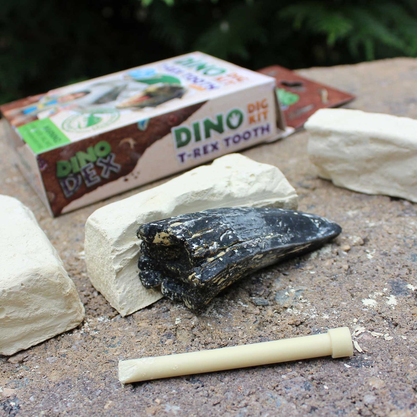 Dino Dexter Dino Tyrannosaurus Rex Tooth Dig Kit-3