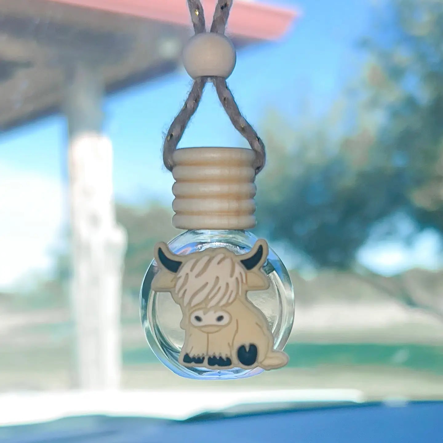 Western Car Scented Diffuser Assortment